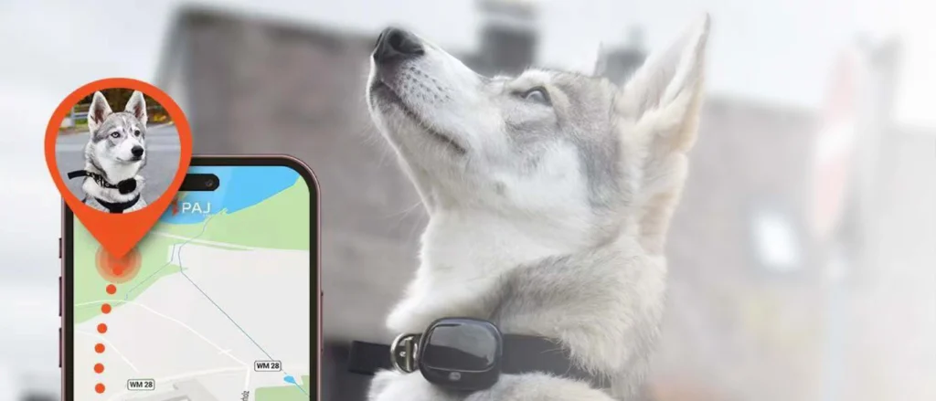 Animal Tracker 5 宠物定位 1