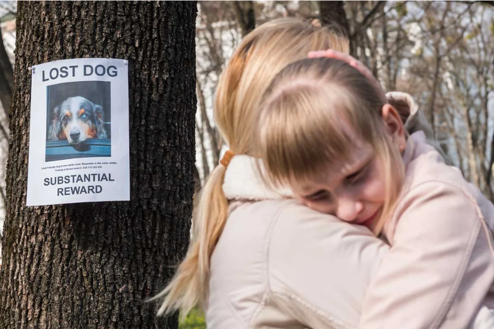 屏幕截图 2025 08 20 205905